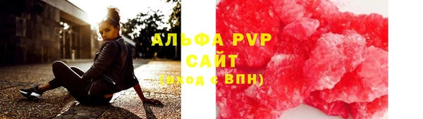 гашик Дмитров