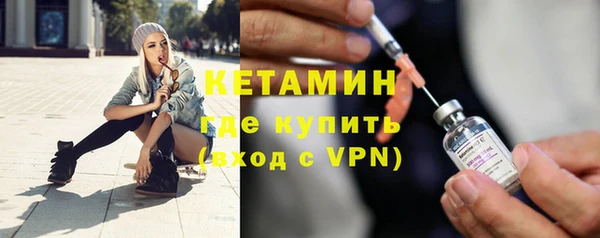гашик Дмитров