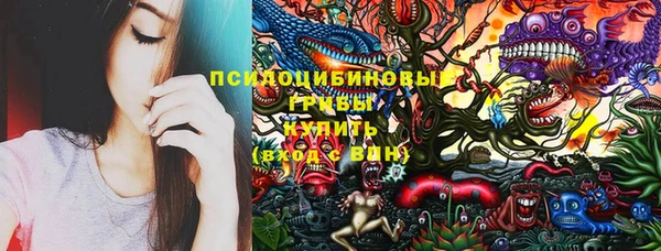 гашик Дмитров