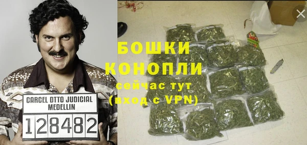 гашик Дмитров