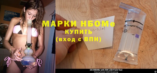 гашик Дмитров