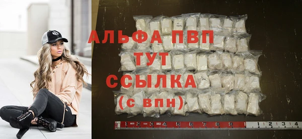 амф Елизово