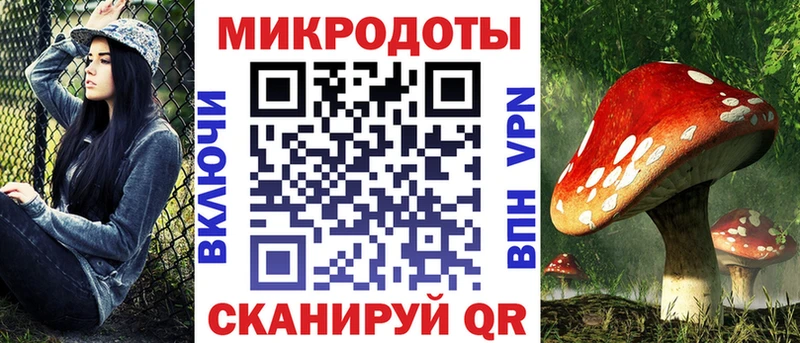Купить где  Пучеж  Псилоцибиновые грибы GOLDEN TEACHER 